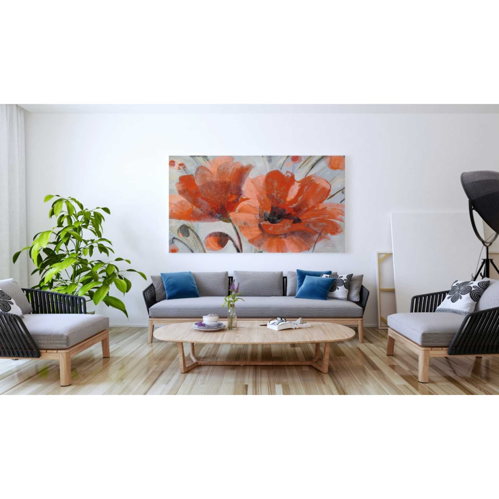 'Popping' by Albena Hristova, Canvas Wall Art,60 x 40