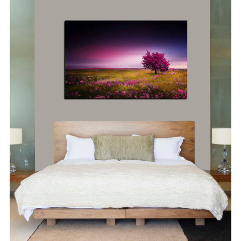 Image of 'Pink Nights' Canvas Wall Art,40 x 60