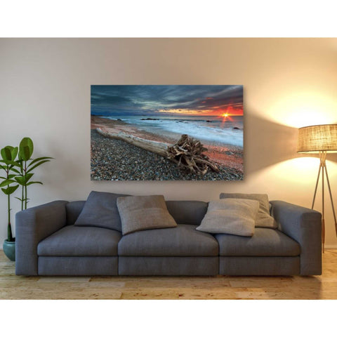 Image of 'Sakonnet Driftwood' by Katherine Gendreau, Giclee Canvas Wall Art