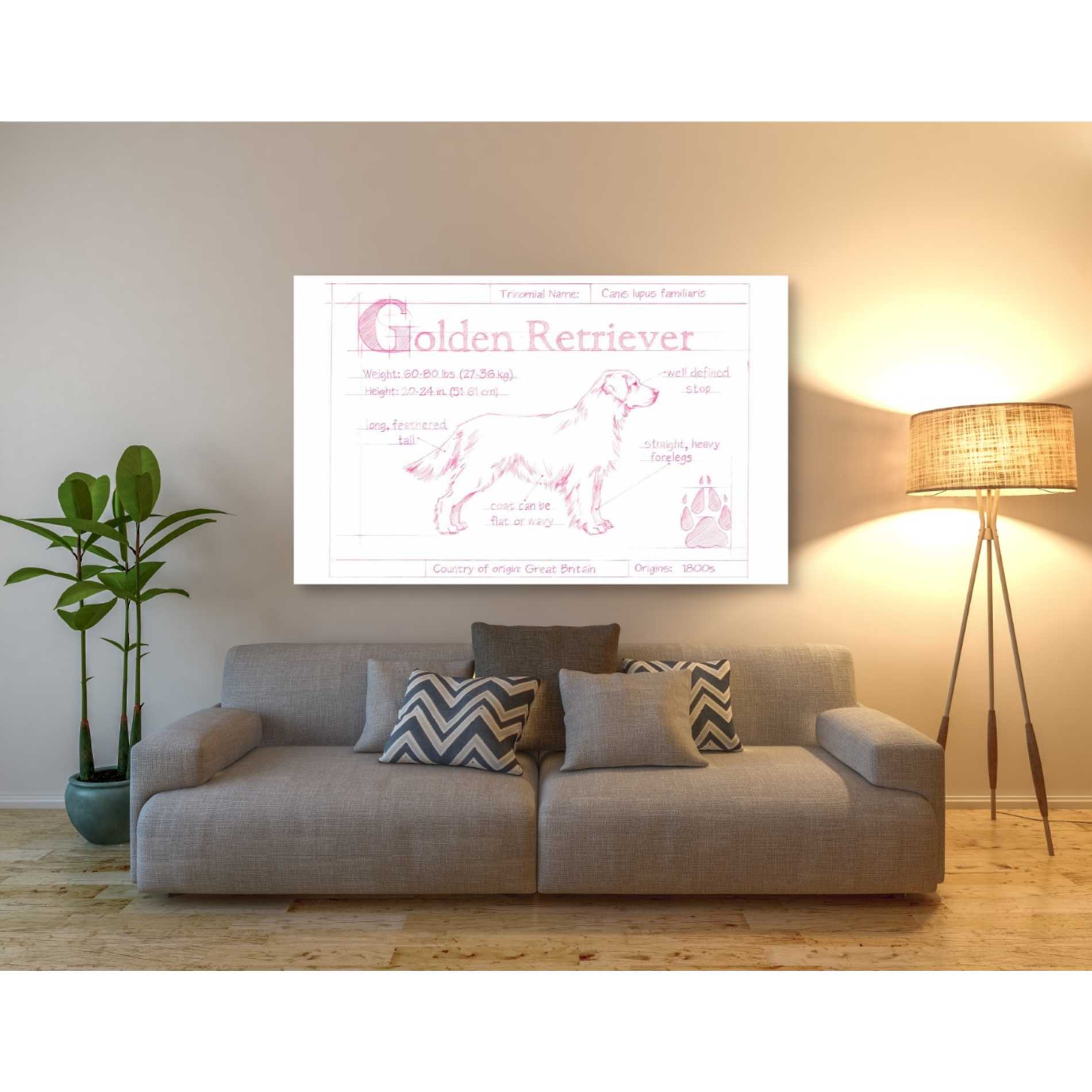 'Blueprint Golden Retriever in Pink' by Ethan Harper Canvas Wall Art,60 x 40