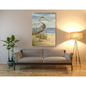 'Shore Bird I' by Ethan Harper Canvas Wall Art,40 x 60