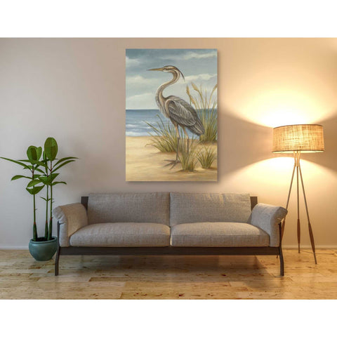 Image of 'Shore Bird II' by Ethan Harper Canvas Wall Art,40 x 60