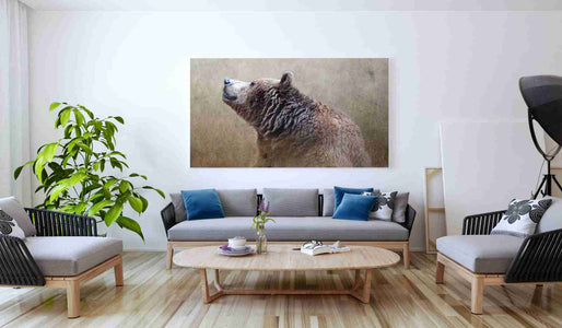 'Big Bear' by Karen Smith, Canvas Wall Art,60x40