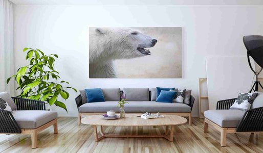 'Polar' by Karen Smith, Canvas Wall Art,60x40