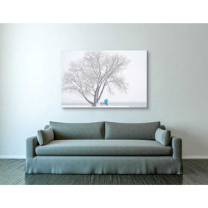 'Another Winter Alone' by Darren White, Canvas Wall Art,40 x 60
