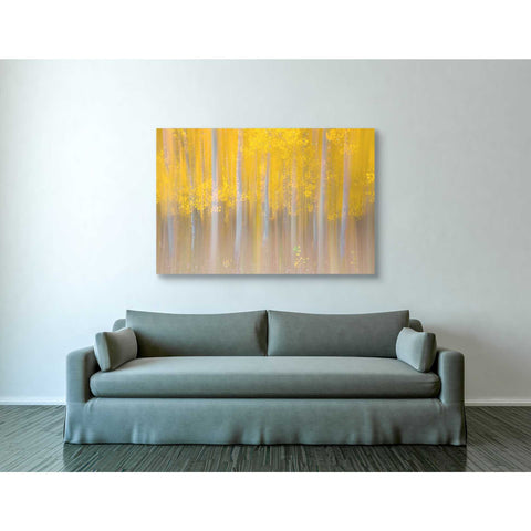 Image of 'Changing Seasons' by Darren White, Canvas Wall Art,40 x 60