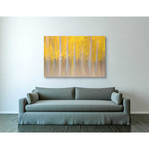 'Changing Seasons' by Darren White, Canvas Wall Art,40 x 60