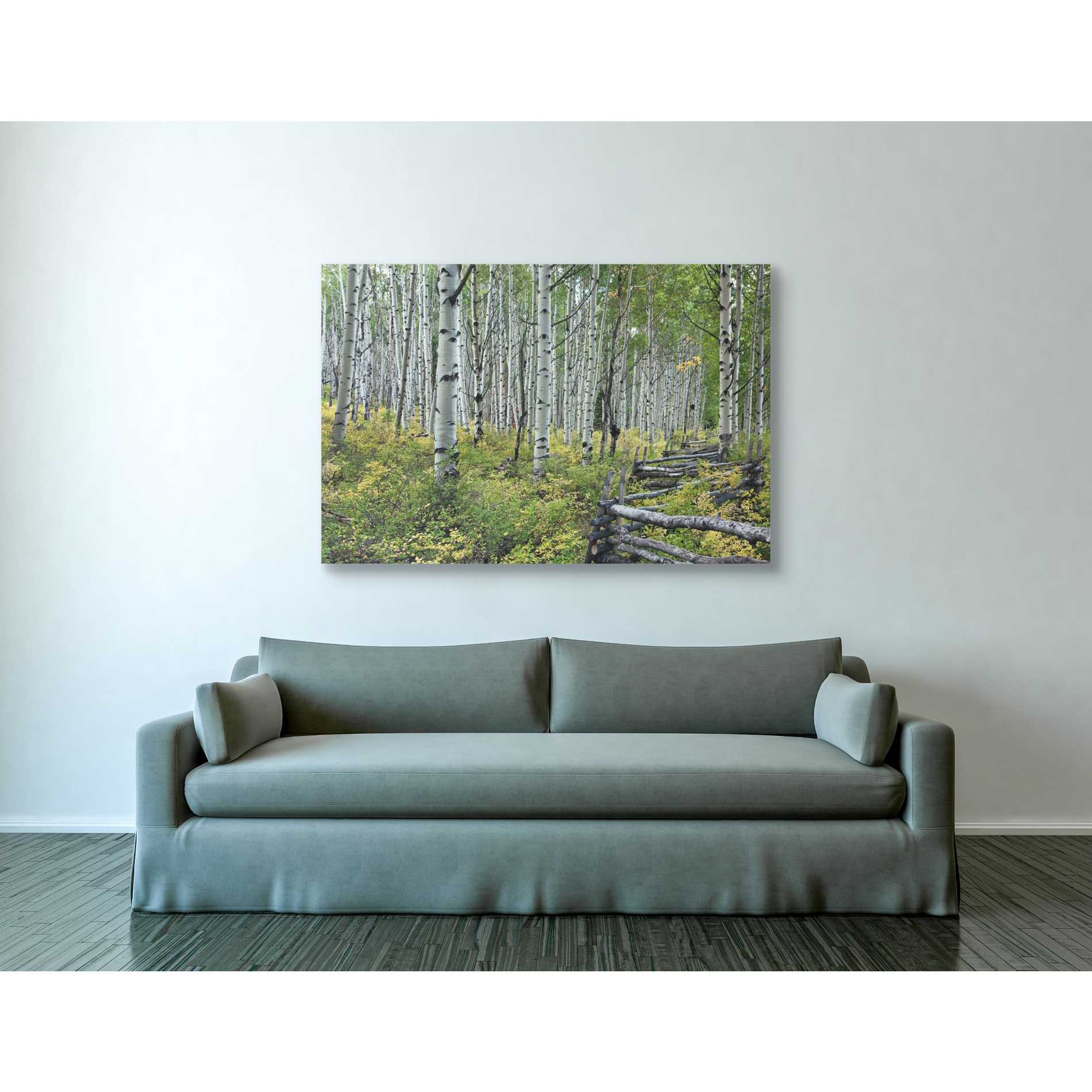 'Aspen Grove Rail Fence,' Canvas Wall Art,40 x 60