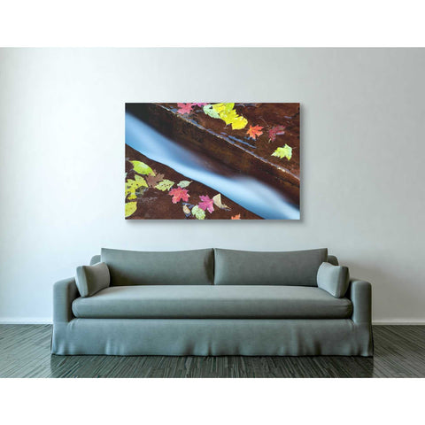Image of 'A Cut in the Terrace,' Canvas Wall Art,40 x 60