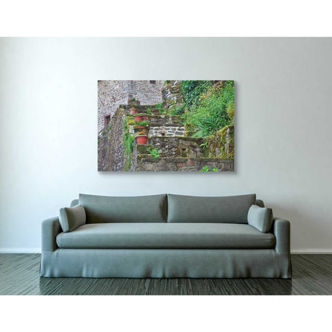 Image of 'Stone Steps,' Canvas Wall Art,40 x 60
