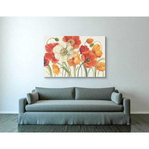 'Poppies Melody I' by Lisa Audit, Canvas Wall Art,,40 x 60