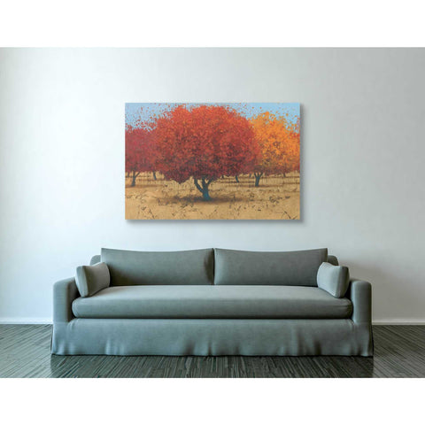 Image of 'Orange Trees II' by James Wiens, Canvas Wall Art,40 x 60