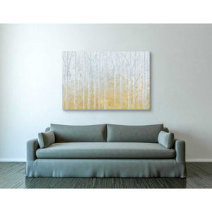 'Silver Water GOLD' by James Wiens, Canvas Wall Art,40 x 60