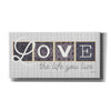 'Love the Life You Live in Gray' by Marla Rae, Canvas Wall Art