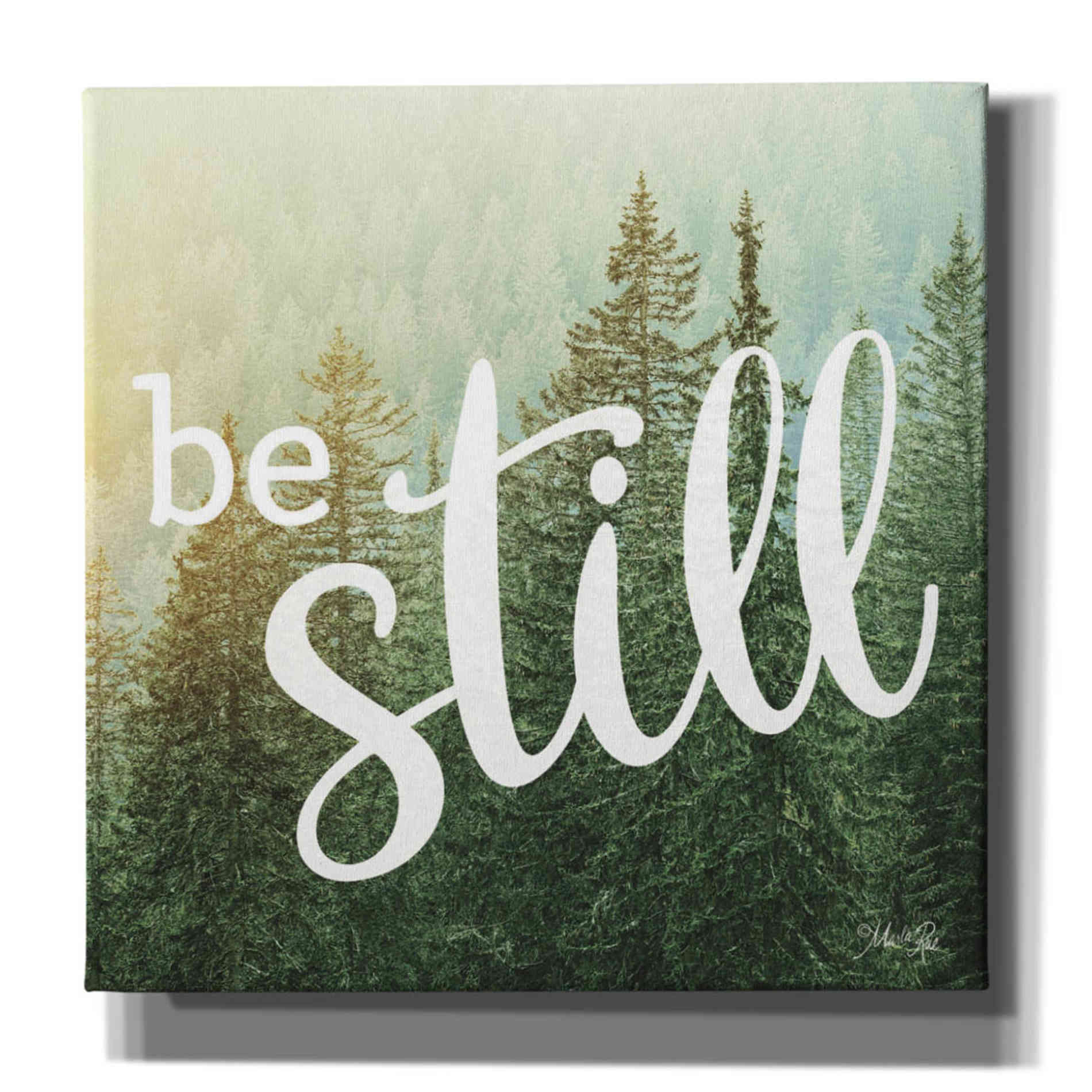 'Be Still' by Marla Rae, Canvas Wall Art