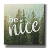 'Be Nice' by Marla Rae, Canvas Wall Art