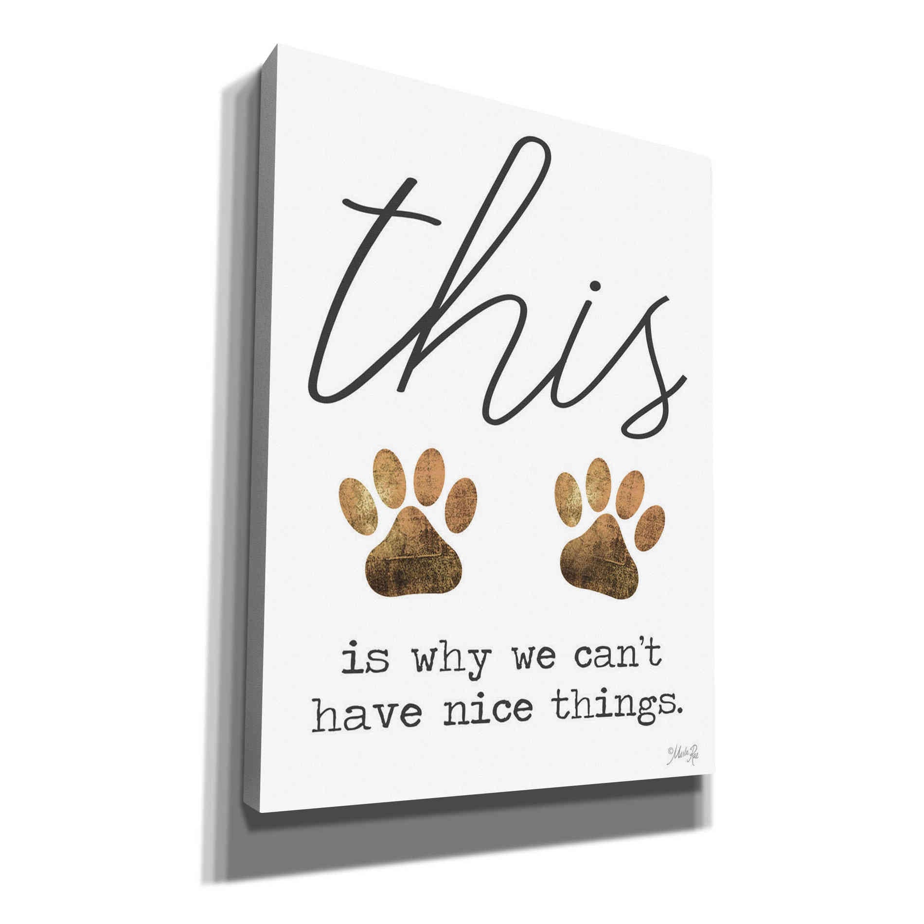 'Can't Have Nice Things' by Marla Rae, Canvas Wall Art