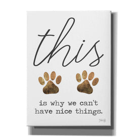 'Can't Have Nice Things' by Marla Rae, Canvas Wall Art