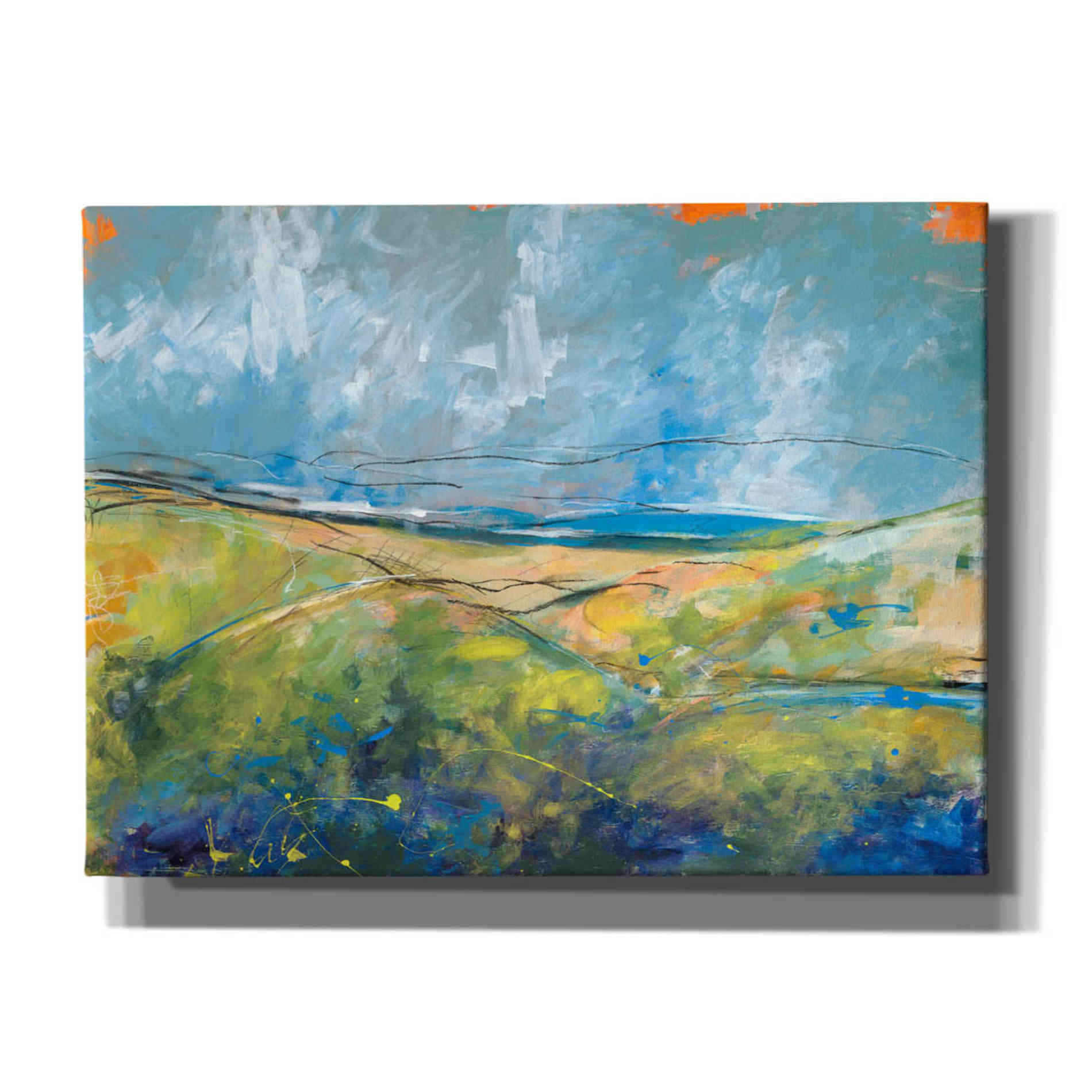 'Early Spring Days' by Jan Weiss, Canvas Wall Art