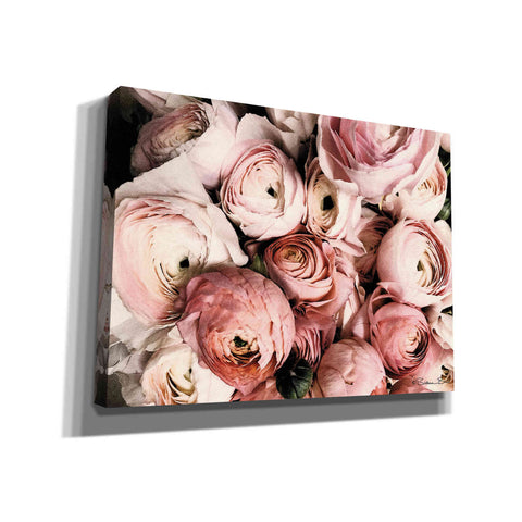 Image of 'Coral Ranunculus' by Susan Ball, Canvas Wall Art