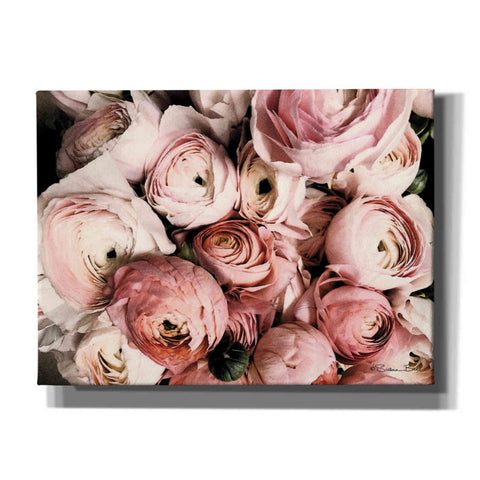 Image of 'Coral Ranunculus' by Susan Ball, Canvas Wall Art