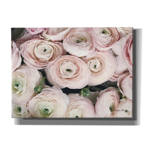 'Soft Pink Ranunculus' by Susan Ball, Canvas Wall Art