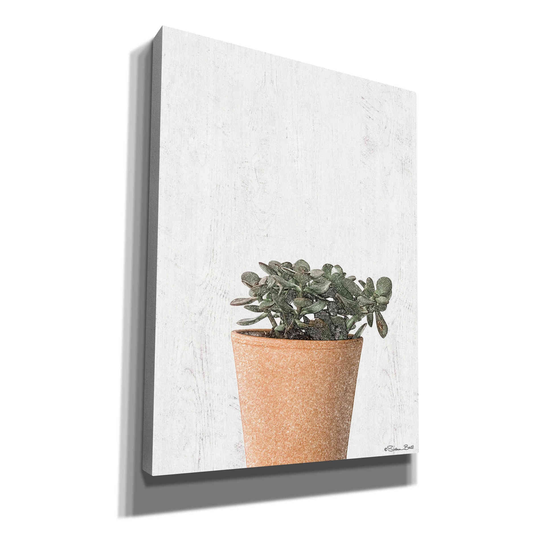 'Succulents III' by Susan Ball, Canvas Wall Art