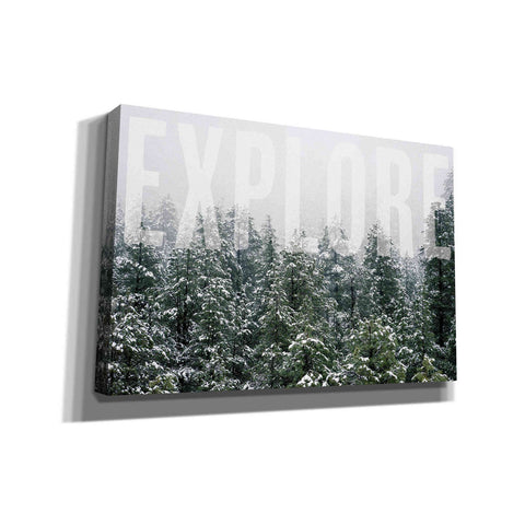 Image of 'Explore' by Susan Ball, Canvas Wall Art