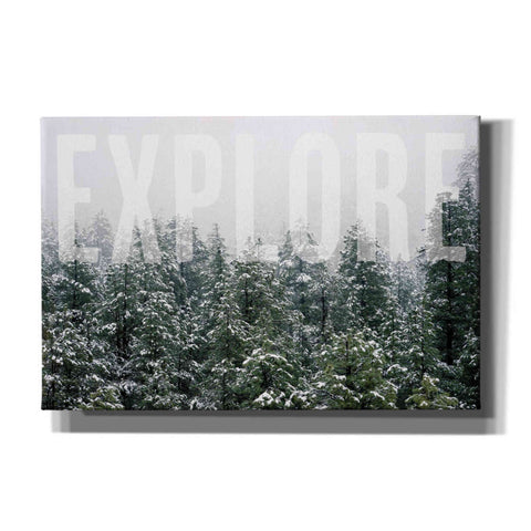 Image of 'Explore' by Susan Ball, Canvas Wall Art