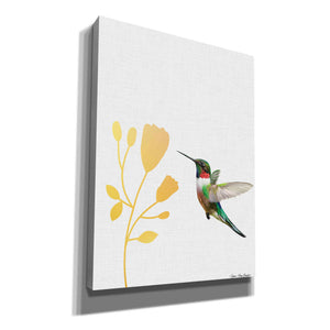 'Hummingbird and the Flower' by Seven Trees Design, Canvas Wall Art
