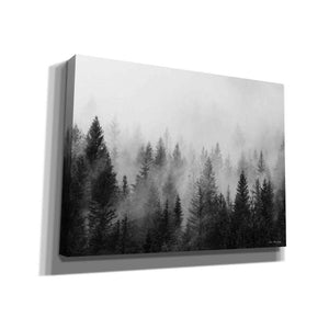 'Forest' by Seven Trees Design, Canvas Wall Art