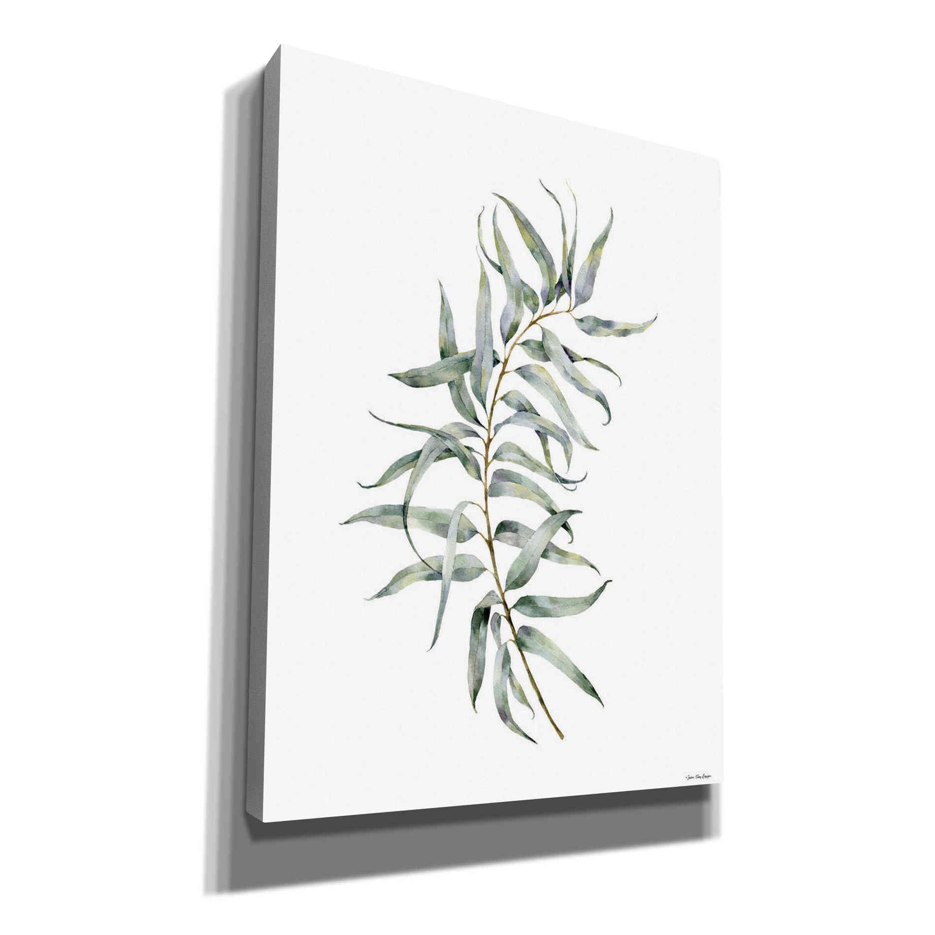 'Eucalyptus I' by Seven Trees Design, Canvas Wall Art
