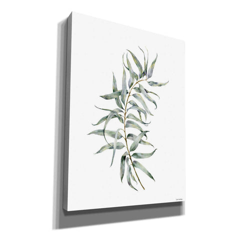 Image of 'Eucalyptus I' by Seven Trees Design, Canvas Wall Art