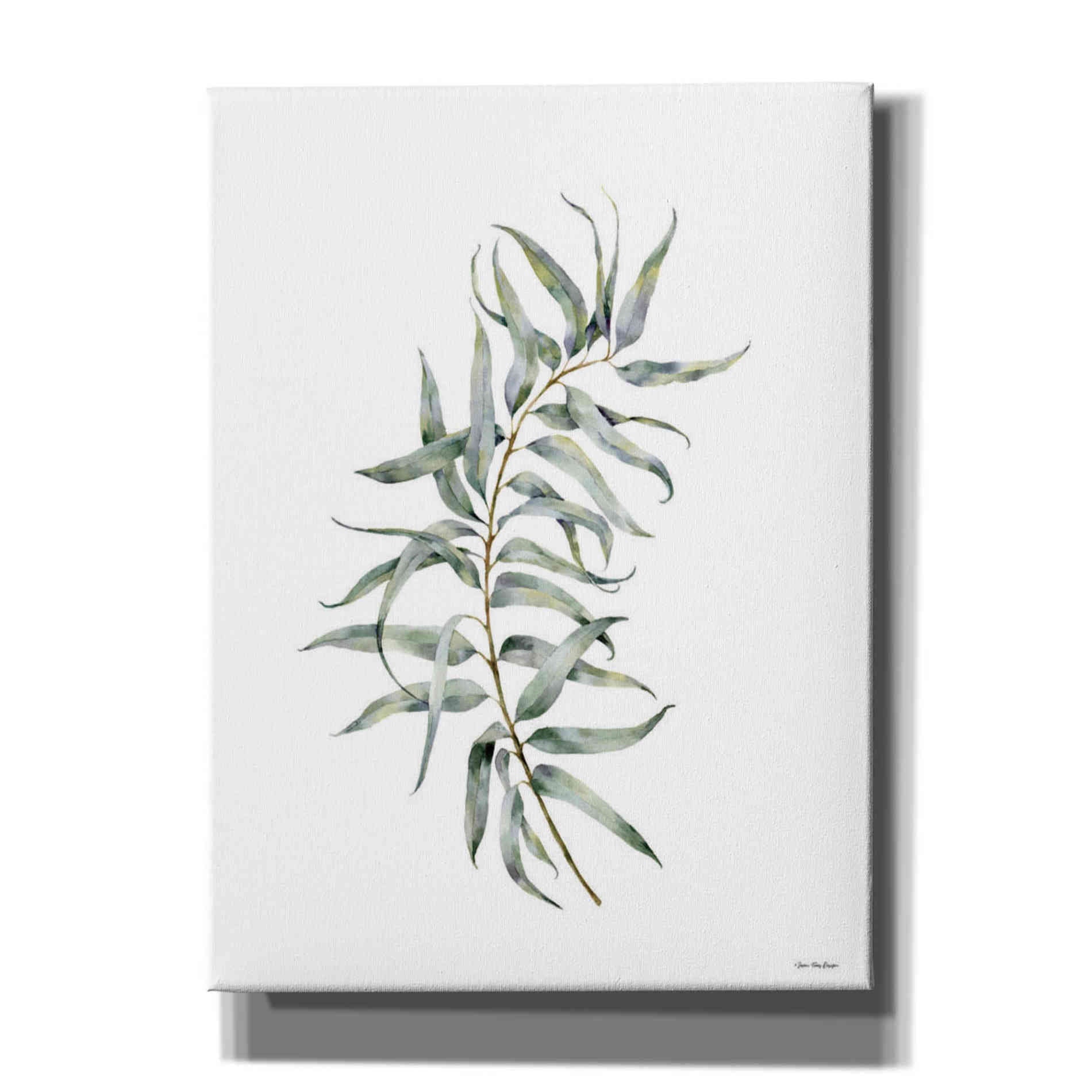 'Eucalyptus I' by Seven Trees Design, Canvas Wall Art