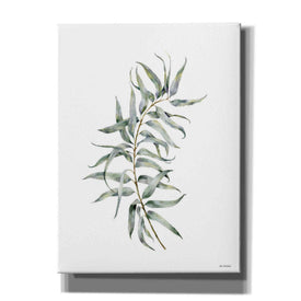 'Eucalyptus I' by Seven Trees Design, Canvas Wall Art