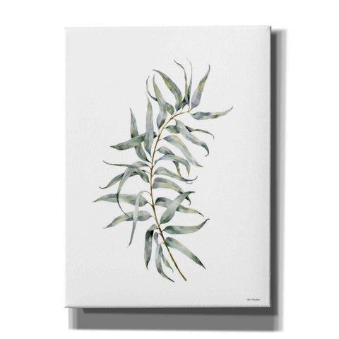 Image of 'Eucalyptus I' by Seven Trees Design, Canvas Wall Art