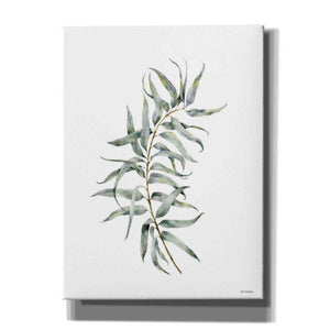 'Eucalyptus I' by Seven Trees Design, Canvas Wall Art