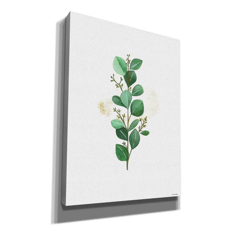 Image of 'Eucalyptus II' by Seven Trees Design, Canvas Wall Art