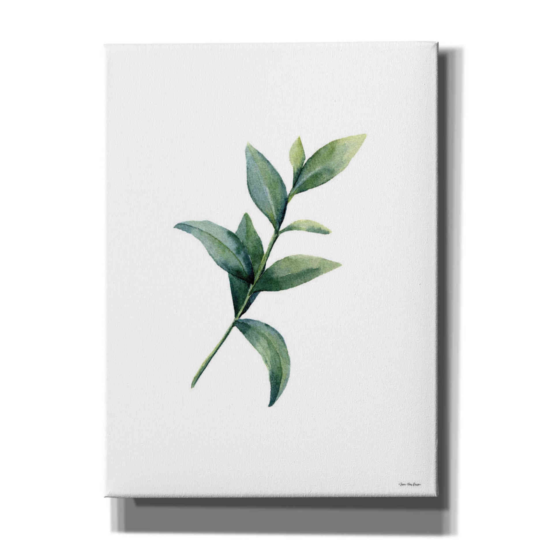 'Eucalyptus III' by Seven Trees Design, Canvas Wall Art