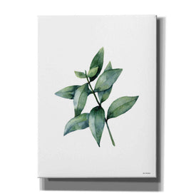 'Eucalyptus IV' by Seven Trees Design, Canvas Wall Art