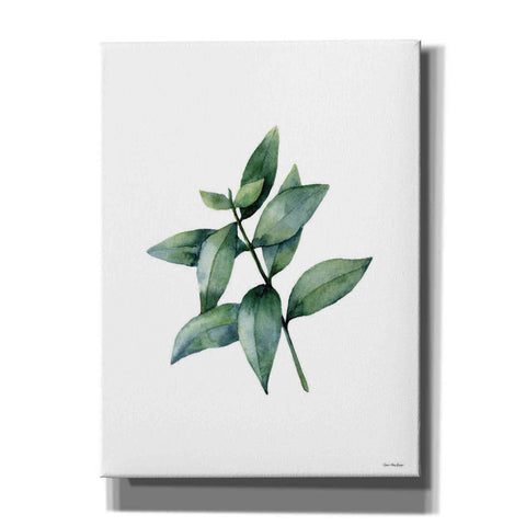 Image of 'Eucalyptus IV' by Seven Trees Design, Canvas Wall Art