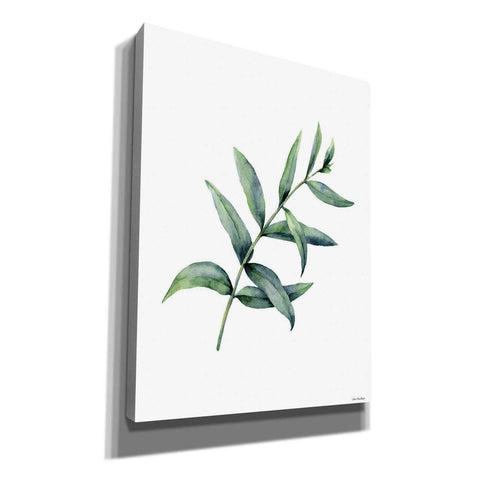 Image of 'Eucalyptus V' by Seven Trees Design, Canvas Wall Art