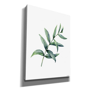 'Eucalyptus V' by Seven Trees Design, Canvas Wall Art