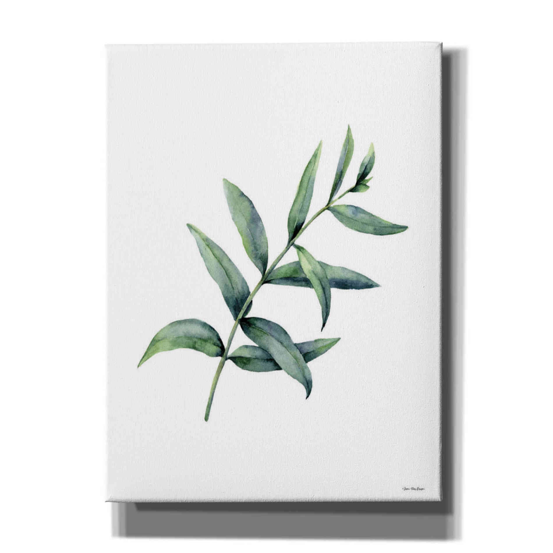 'Eucalyptus V' by Seven Trees Design, Canvas Wall Art