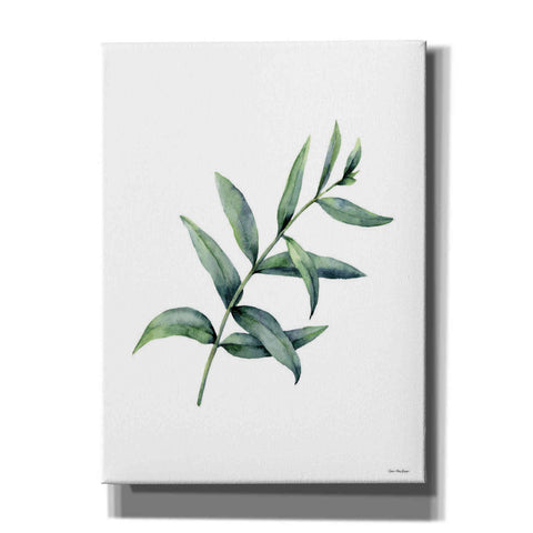 Image of 'Eucalyptus V' by Seven Trees Design, Canvas Wall Art
