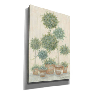 'Tall Topiaries' by Annie LaPoint, Canvas Wall Art