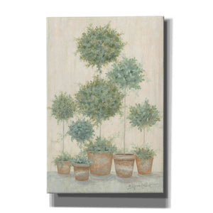 'Tall Topiaries' by Annie LaPoint, Canvas Wall Art