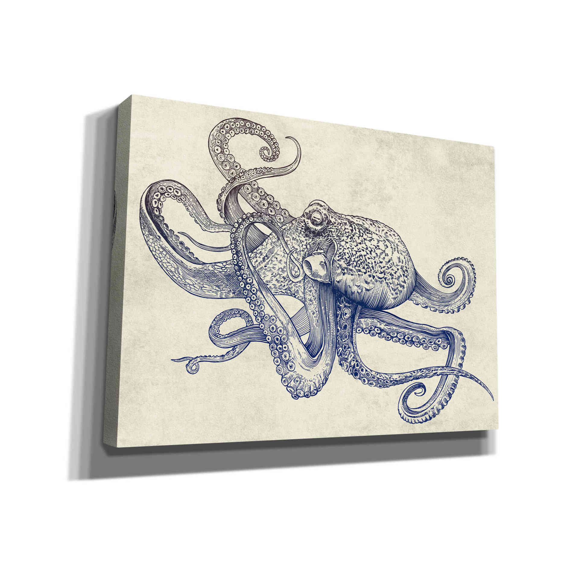 'Octoflow' by Rachel Caldwell, Canvas Wall Art