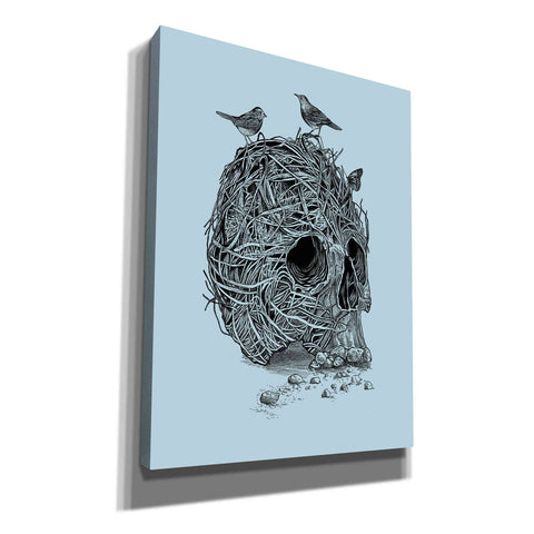 Image of 'Skull Nest' by Rachel Caldwell, Canvas Wall Art