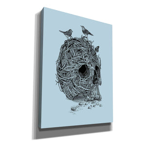 'Skull Nest' by Rachel Caldwell, Canvas Wall Art